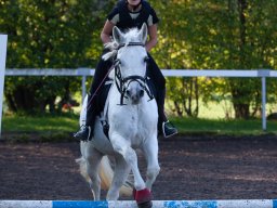 IMG_6985_web